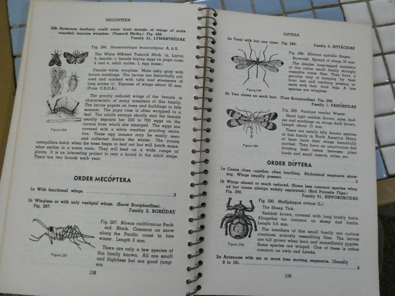 HOW TO KNOW THE INSECTS PUB 1947 SPIRAL BOUND HARD PAPER COVER 205 PAGES