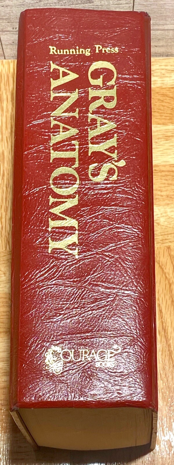 Gray’s Anatomy: Anatomy, Descriptive and Surgical 1901 Edition, Running Press