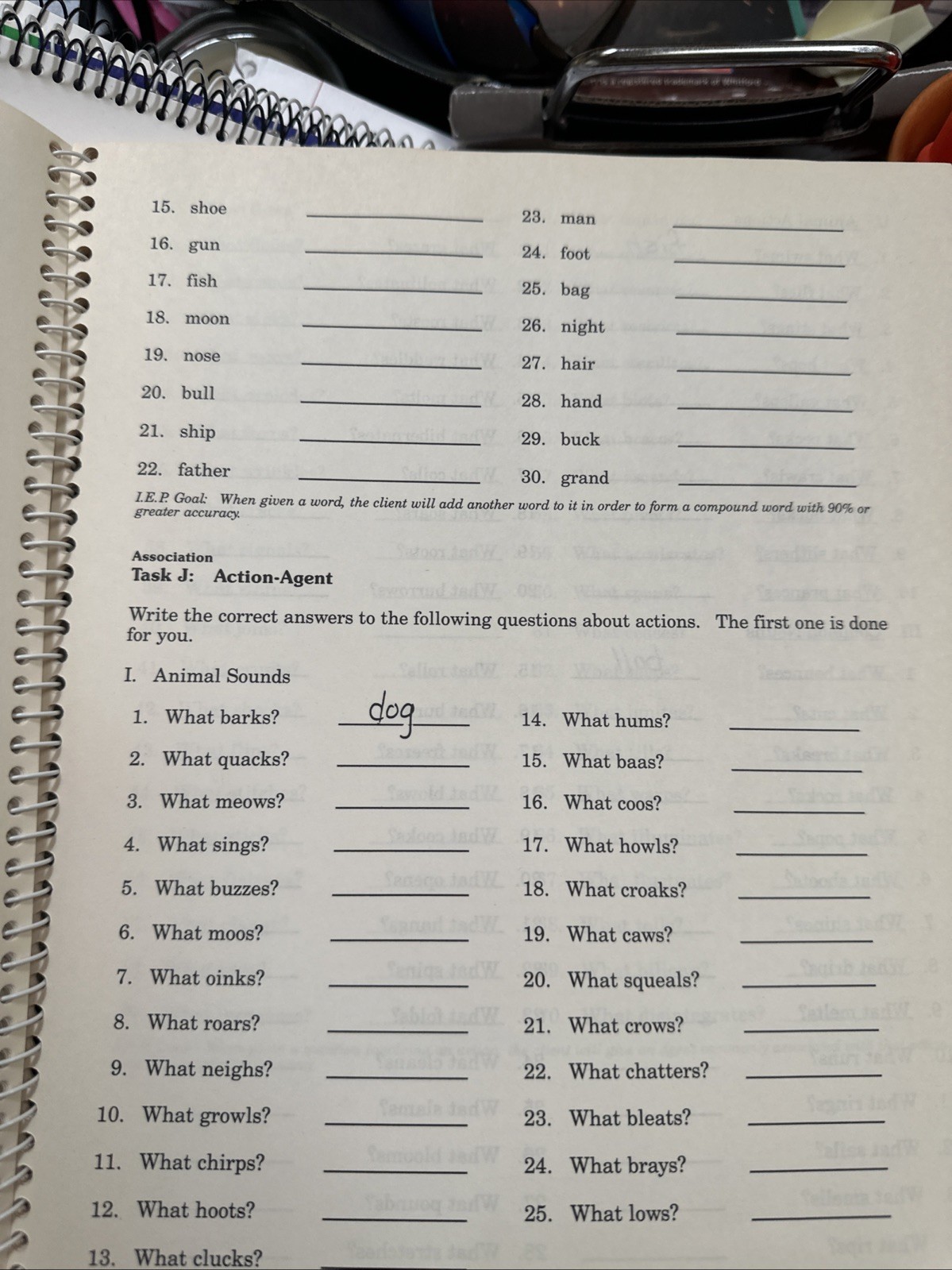 HELP 1 Handbook Exercises for Language Processing Lazzari Peters