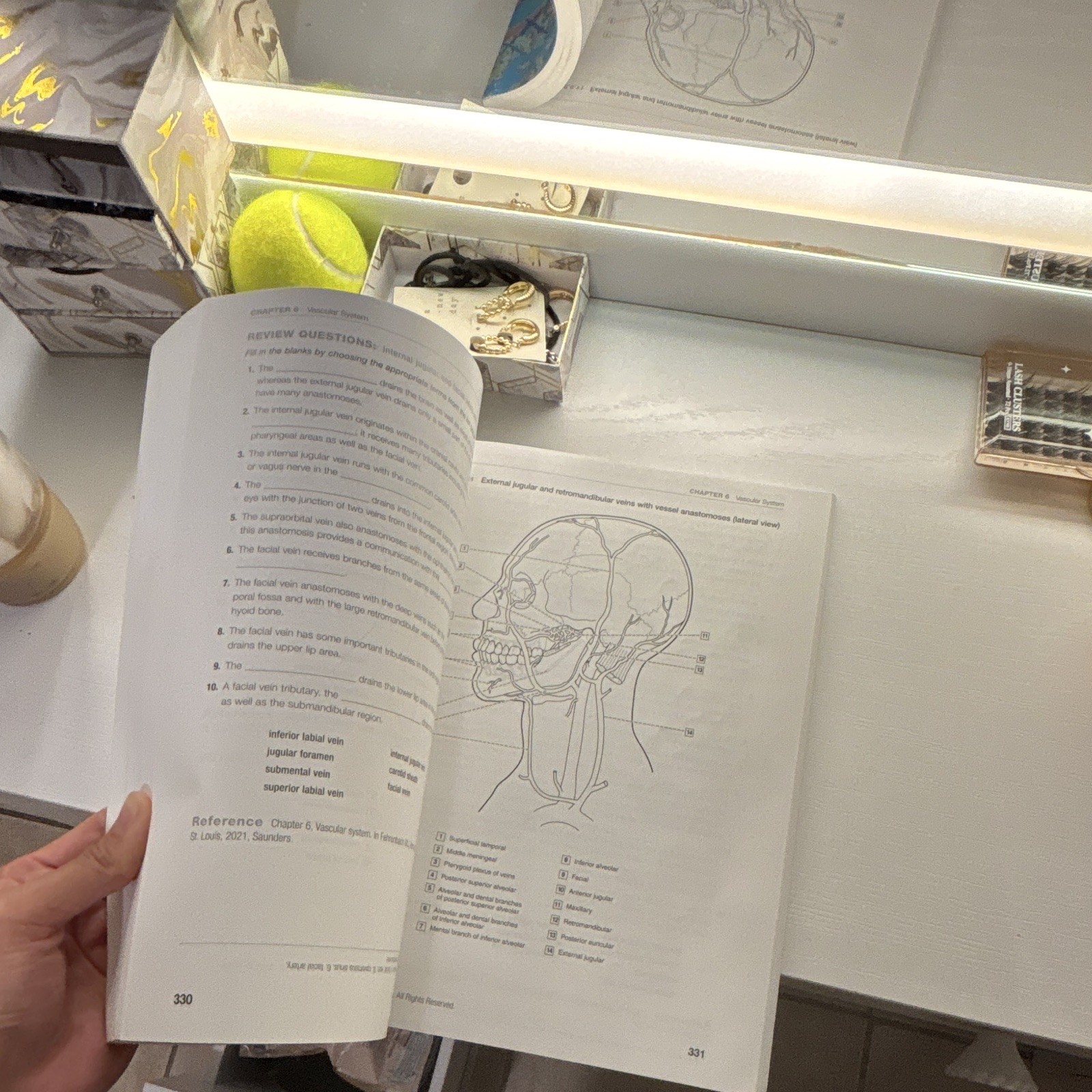 Elsevier Dental Anatomy Coloring Book 4th Ed PB Margaret J. Fehrenbach 2021