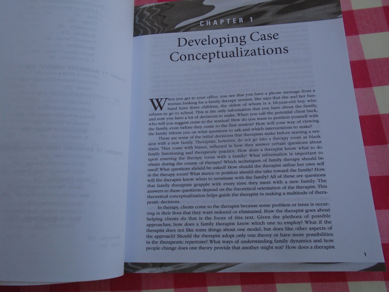 Case Conceptualization in Family Therapy by Michael Reiter
