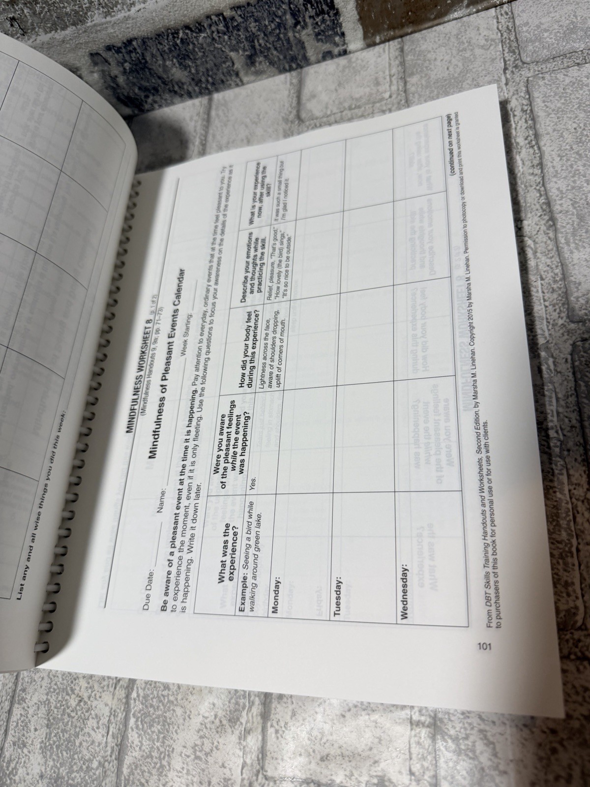 DBT Skills Training Handouts and Worksheets, Second Edition – GOOD