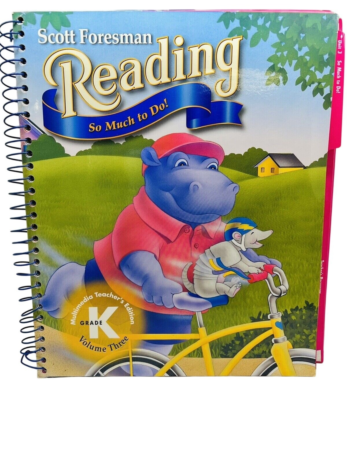 Scott Foresman Reading Grade K Volume 3 So Much to Do Teachers Edition~B1 28