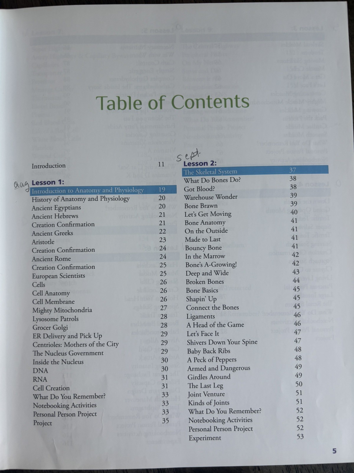 Exploring Creation with Human Anatomy and Physiology Textbook