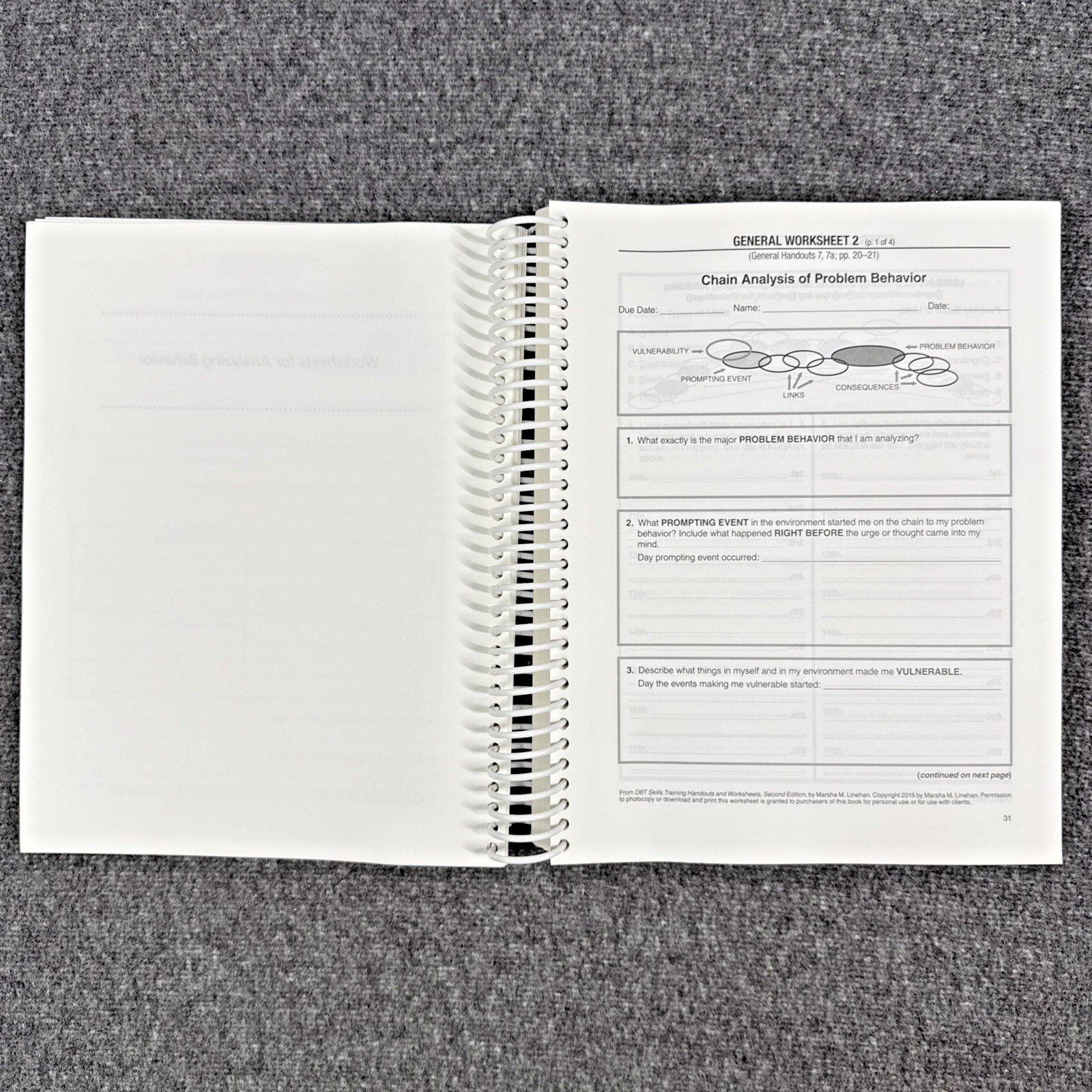 DBT Skills Training Handouts and Worksheets by Marsha M. Linehan, Like New