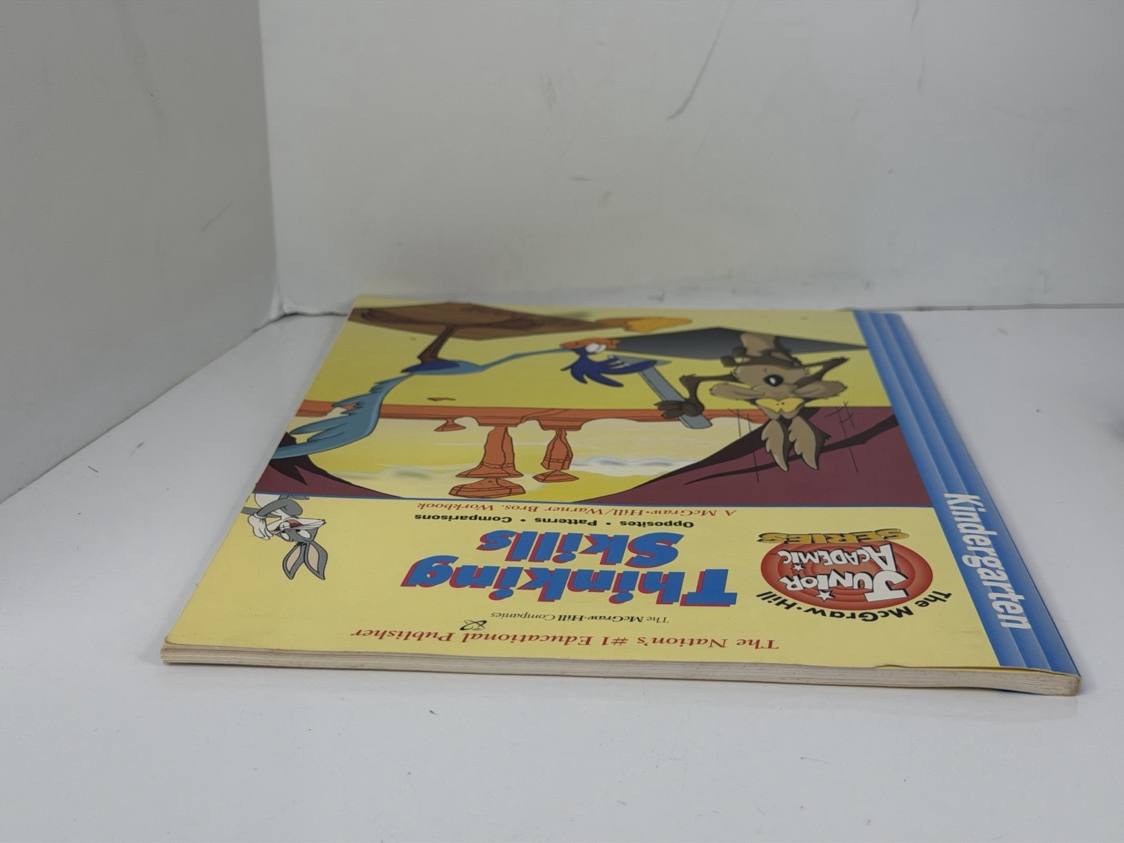 Warner Brothers Thinking Skills Kindergarten Workbook 1999 McGraw Hill New