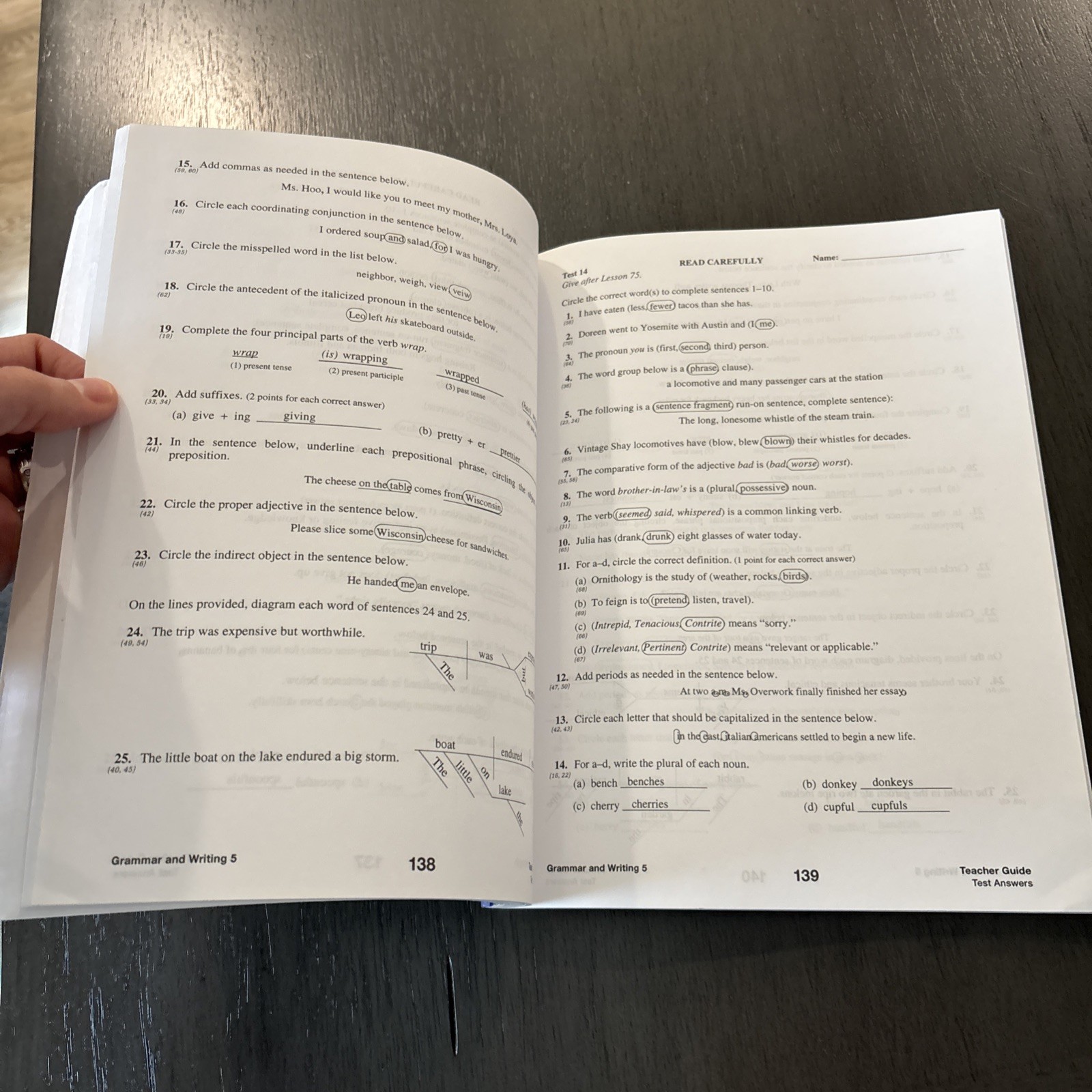 Grammar and Writing 5 (Stephen Hake Grammar)