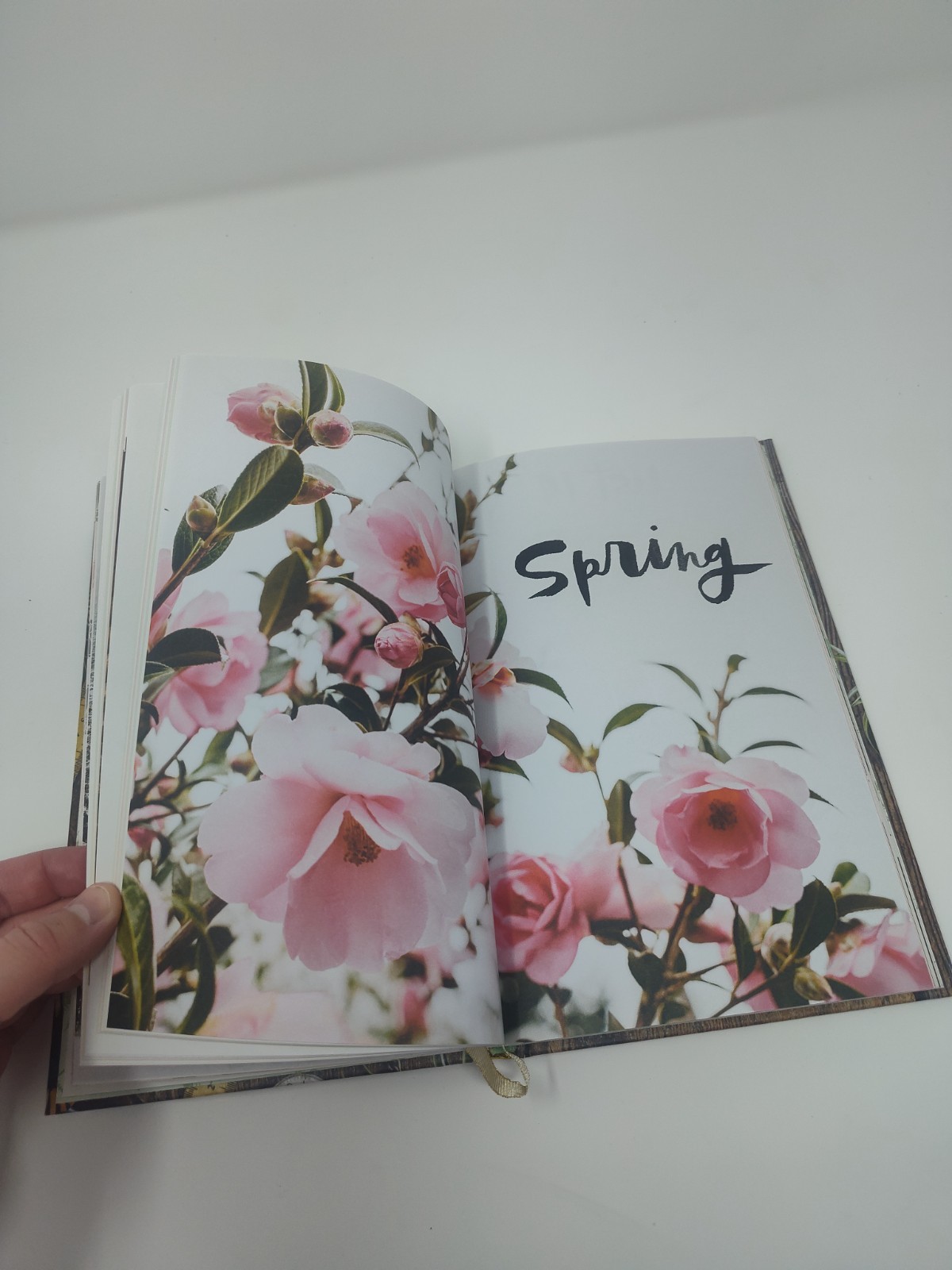 The 52 Lists Project by Moorea Seal – A Year of Weekly Journaling Inspiration