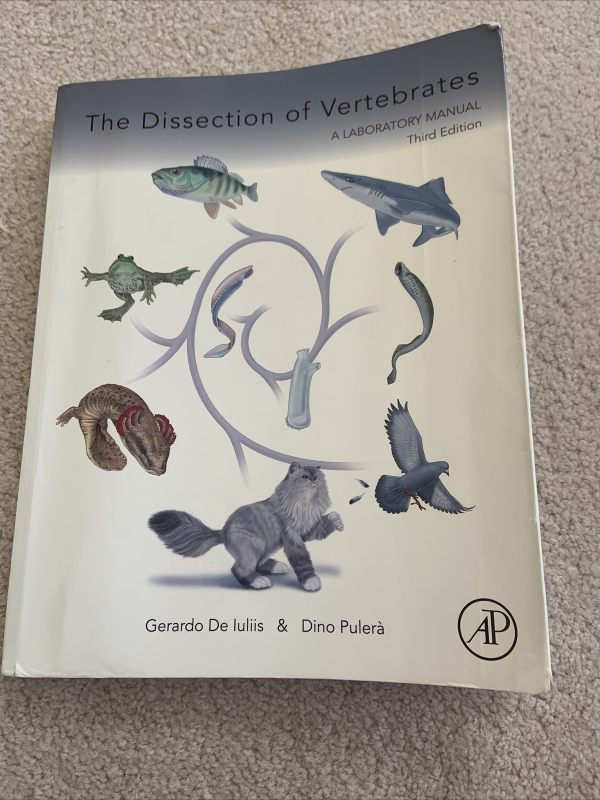 The Dissection of Vertebrates by Dino Pulera and Gerardo De Iuliis (2019, Trade