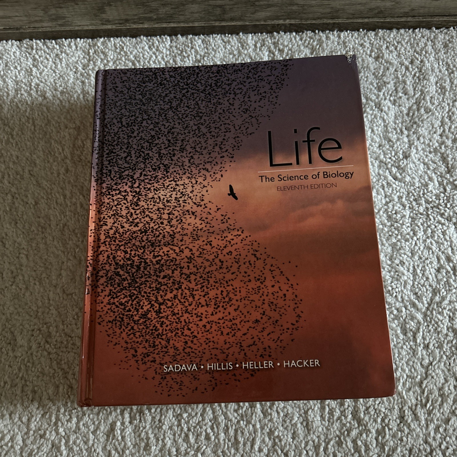 Life: The Science of Biology – Hardcover By Sadava, David E. – GOOD