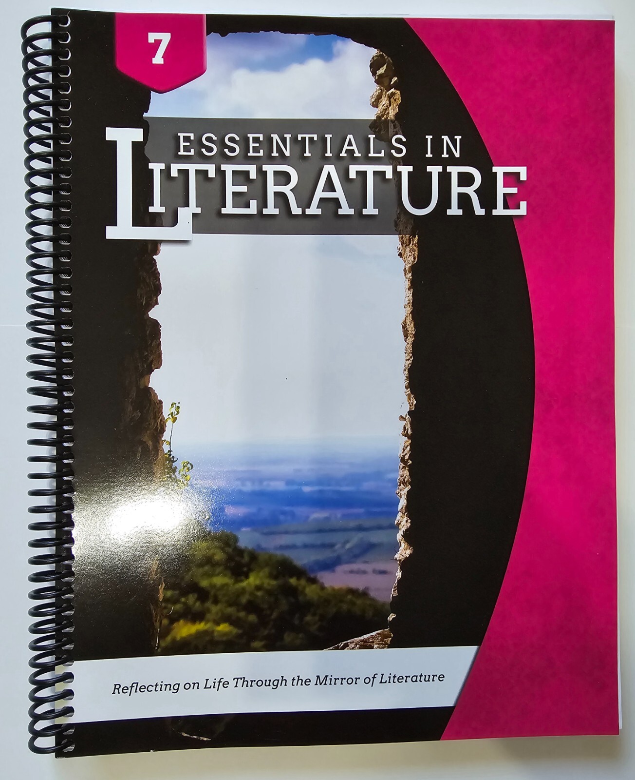 Essentials in WRITING and LITERATURE Level 7 Bundle W/Online Video Subscription