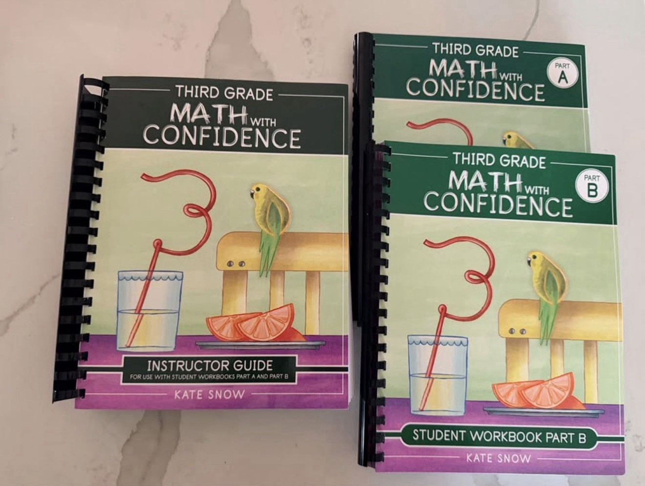 Math With Confidence Third Grade Complete Set Kate Snow NEW Instructor + A & B