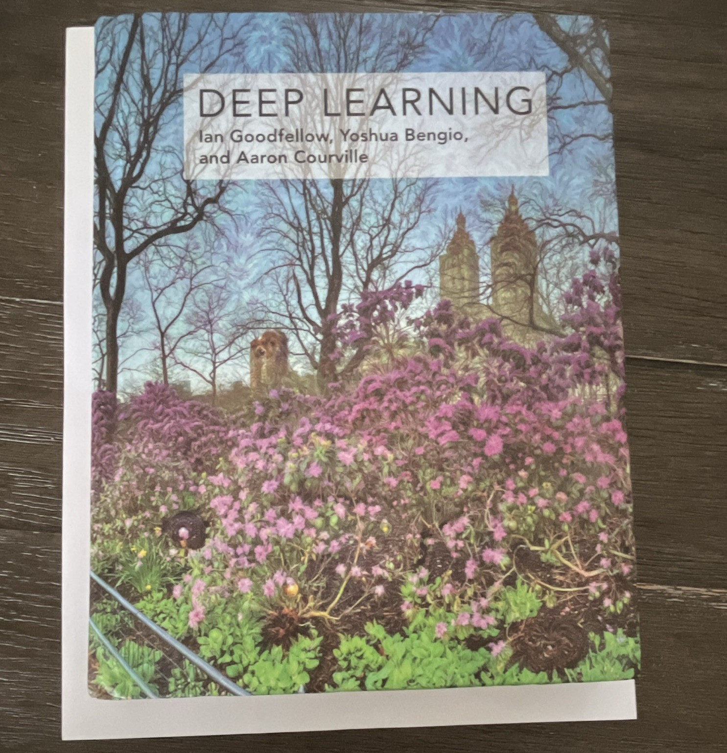 MIT Press Deep Learning (2016) Textbook by Goodfellow, Bengio & Courville