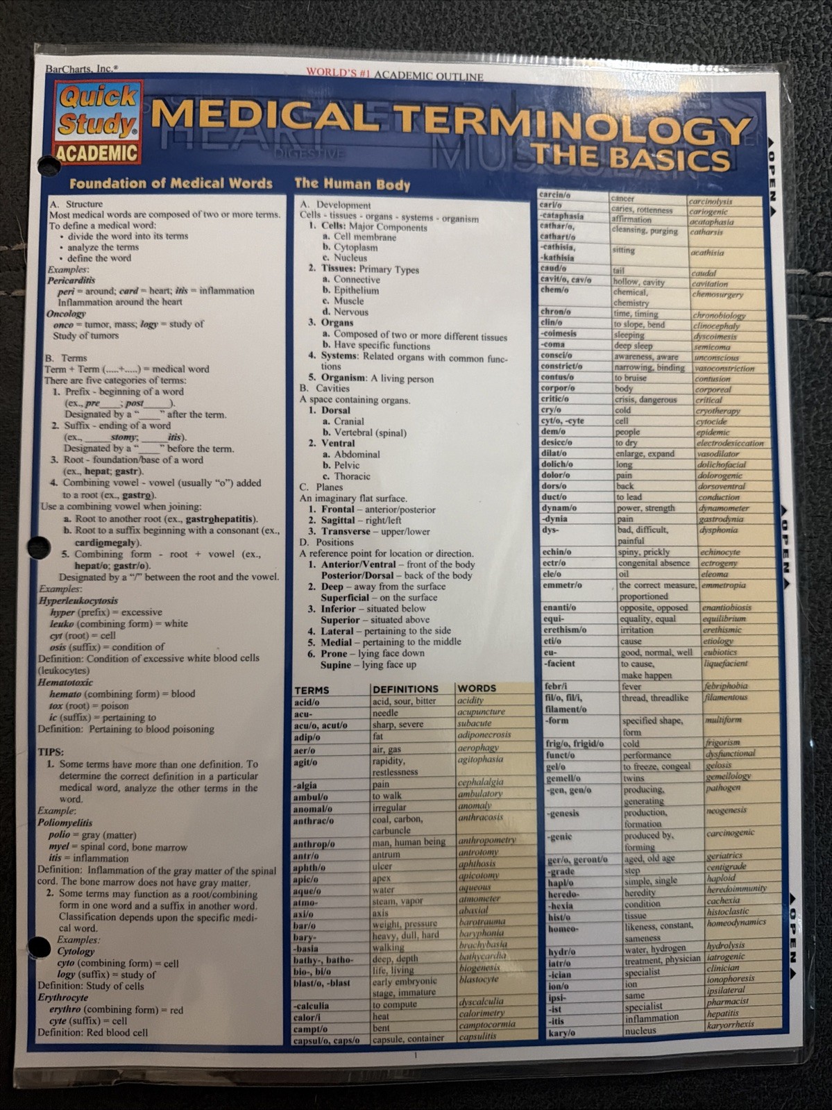 Complete Basic Medical Terminology, Abbreviations and Anatomy – Quick References