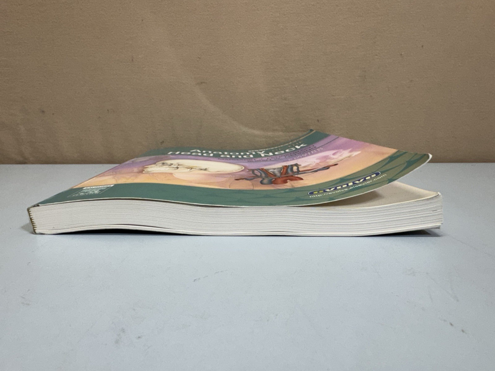 Illustrated Anatomy of the Head and Neck by Margaret J Fehrenbach Susan W Herrin