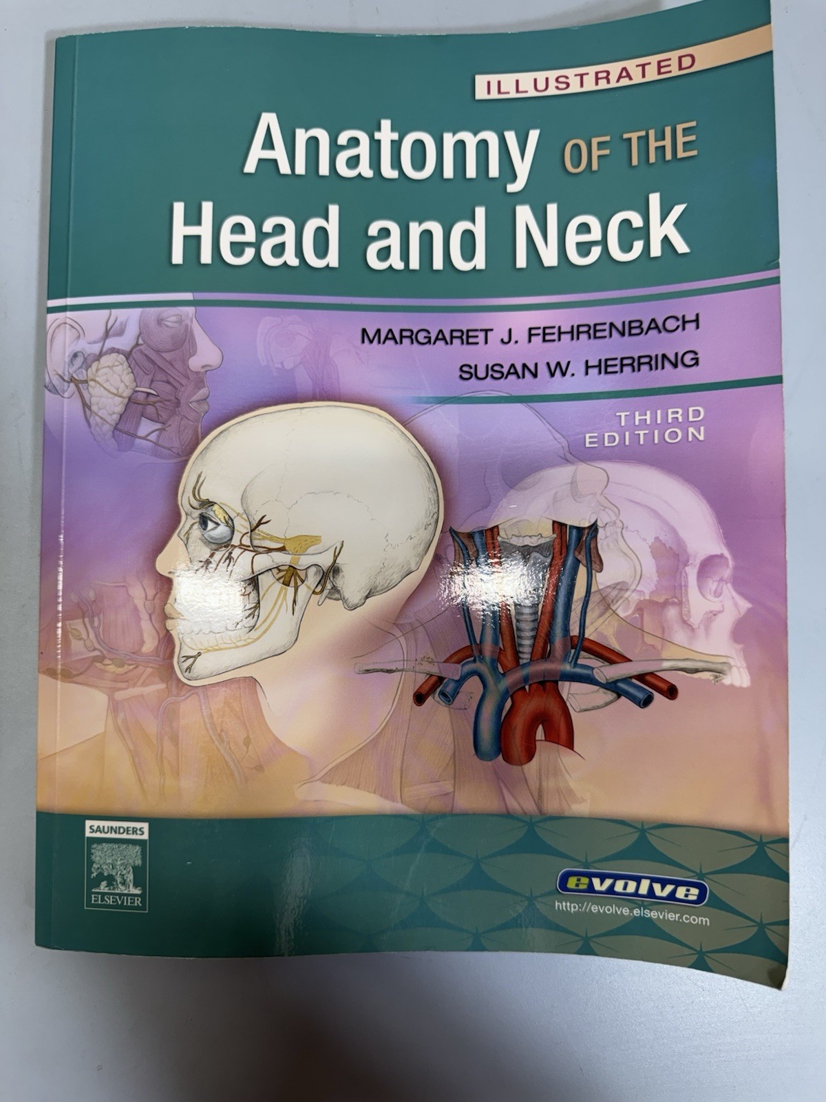 Illustrated Anatomy of the Head and Neck by Margaret J Fehrenbach Susan W Herrin
