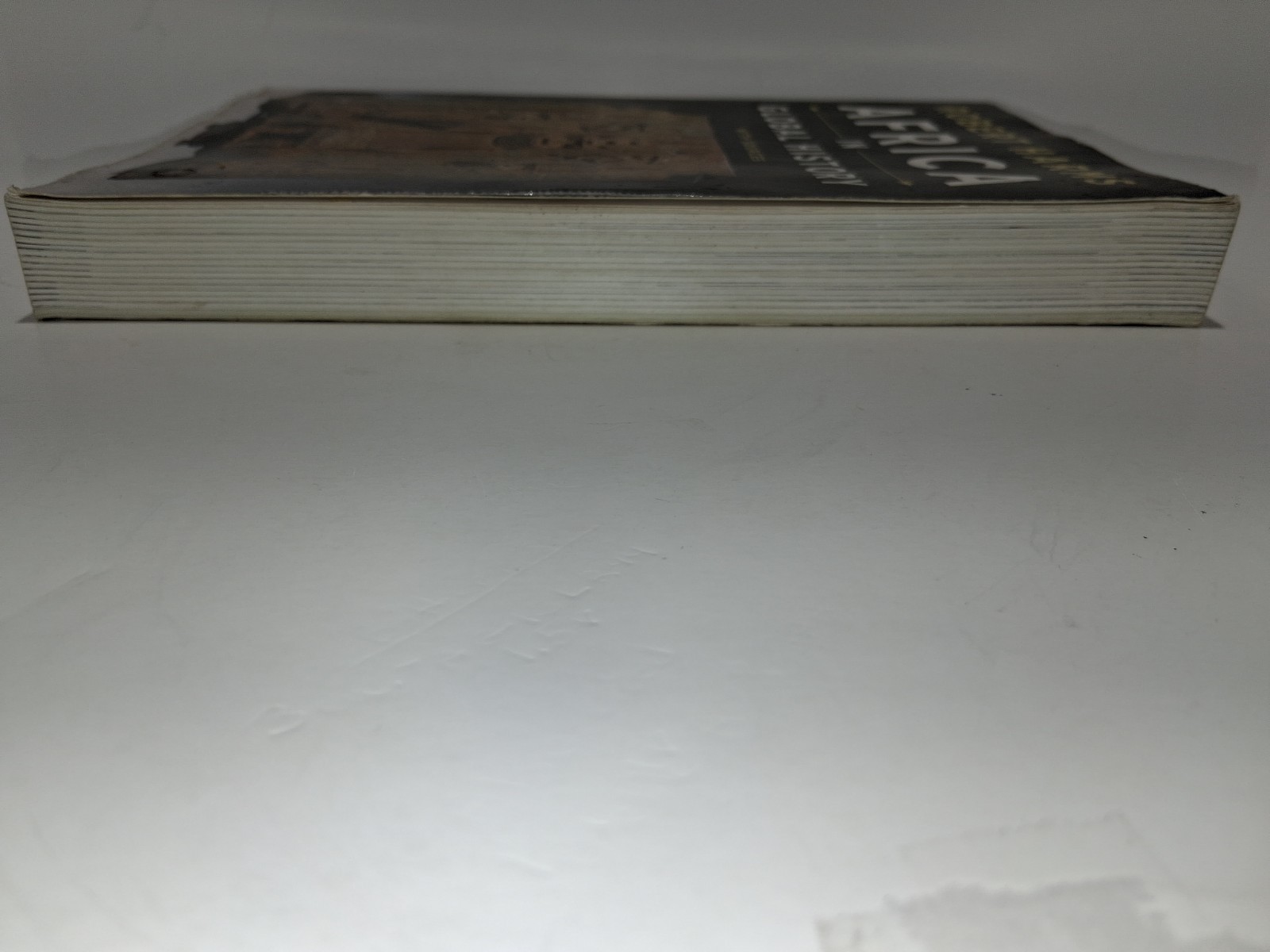 Africa in Global History with Sources – Paperback, by Harms Robert 1st Edition!