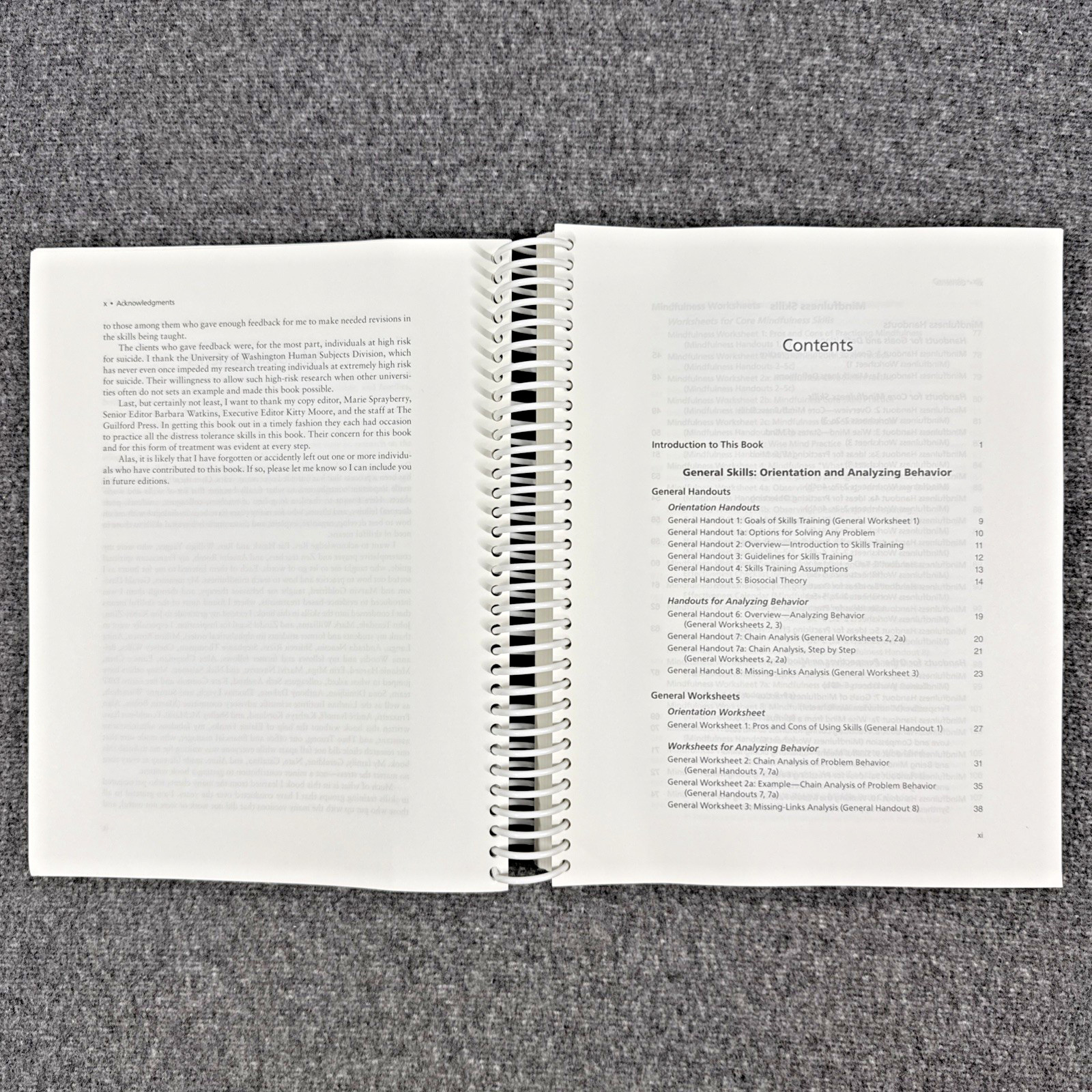 DBT Skills Training Handouts and Worksheets by Marsha M. Linehan, Like New