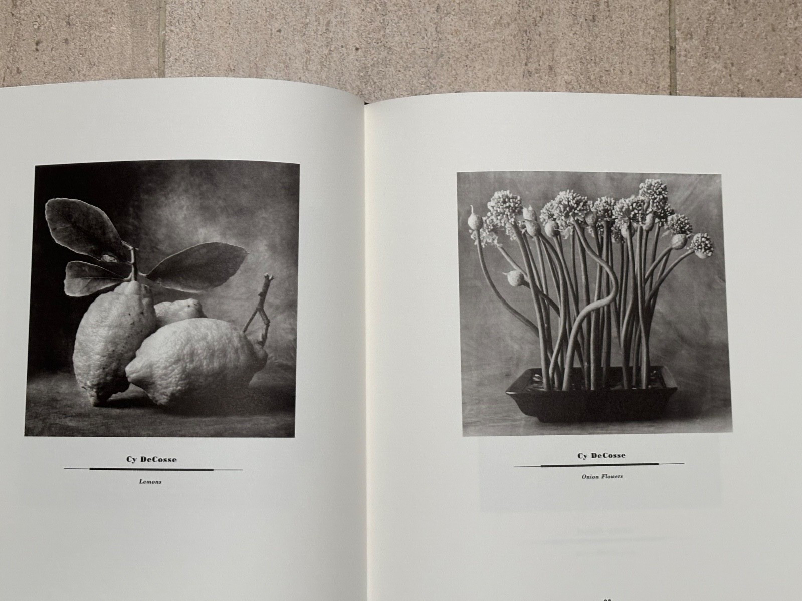 BRAND NEW Journal of Contemporary Photography VOLUME TWO #258/2000 1ST EDITION**
