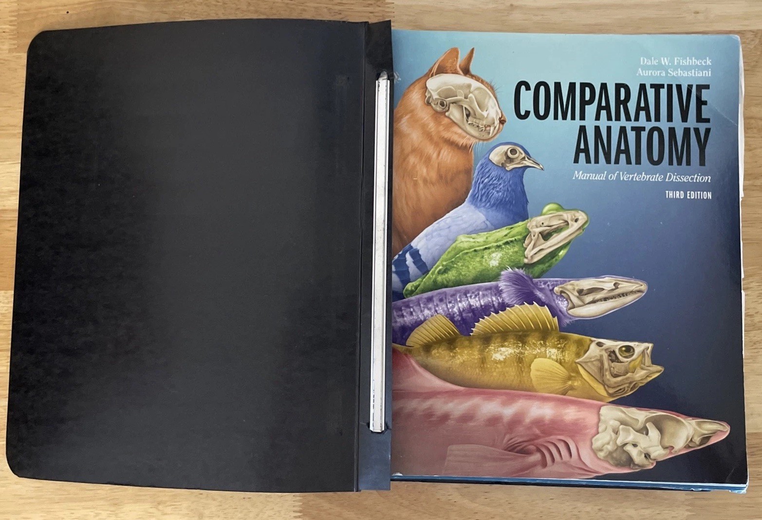 Comparative Anatomy Vertebrate Dissection 3rd Ed. Ringbound, Fishbeck Sebastiani