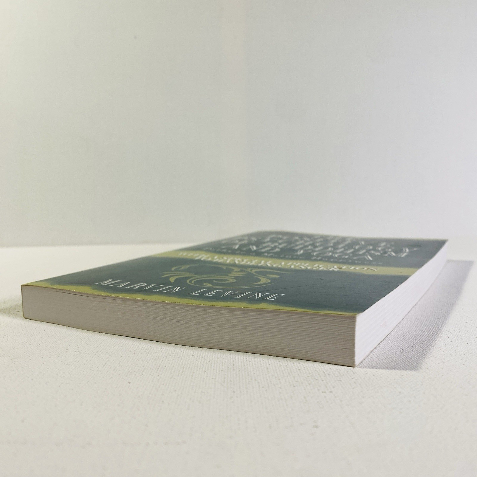 THE POSITIVE PSYCHOLOGY OF BUDDHISM AND YOGA, 2ND EDITION: By Marvin Levine