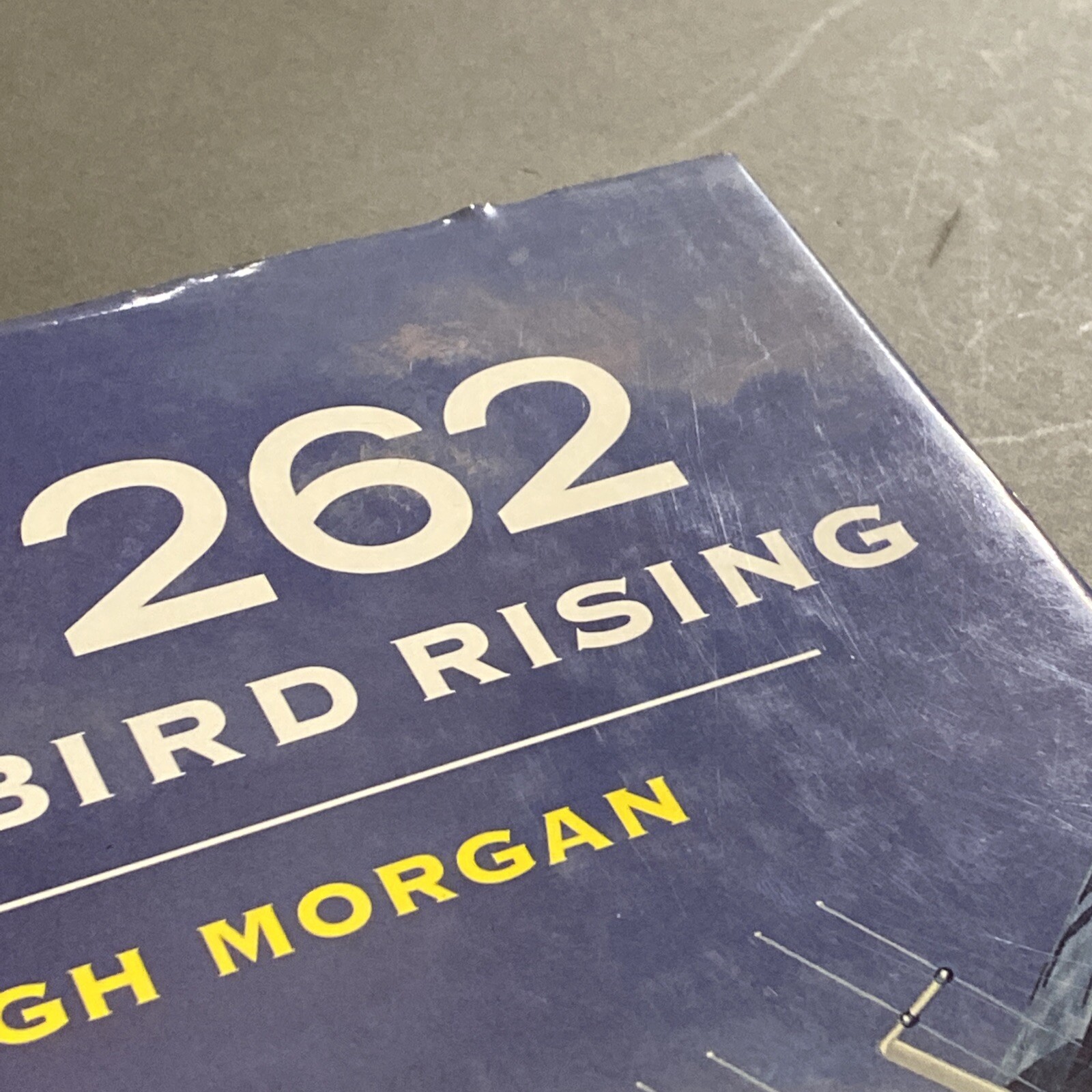 Me 262 : Stormbird Rising by Hugh Morgan (1995, Hardcover) Used. Book