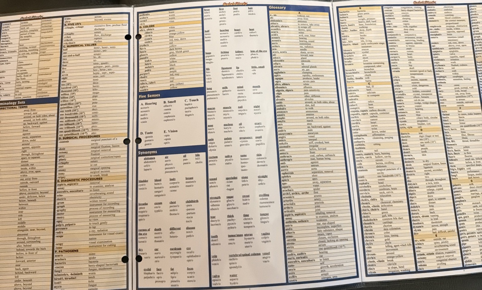 Complete Basic Medical Terminology, Abbreviations and Anatomy – Quick References
