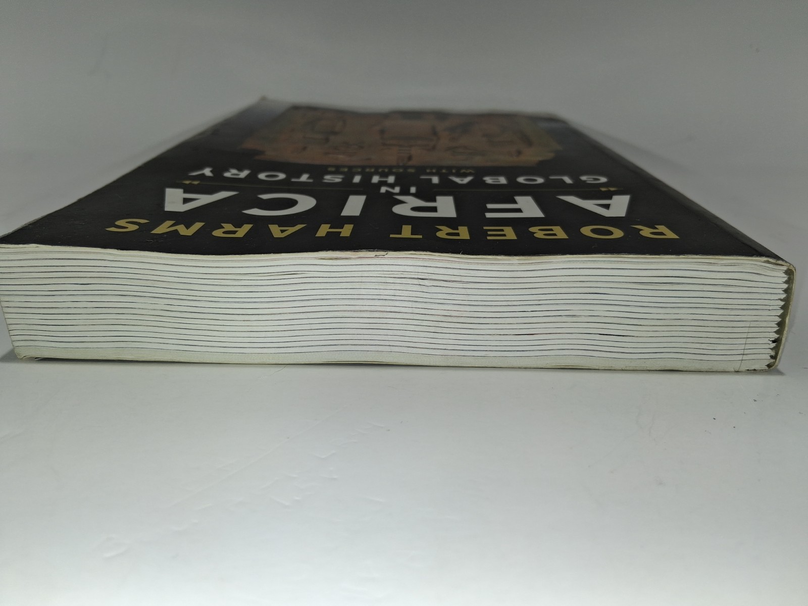 Africa in Global History with Sources – Paperback, by Harms Robert 1st Edition!