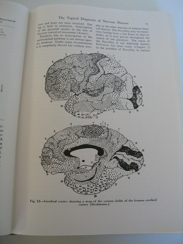 CLINICAL NEUROLOGY BERNARD ALPERS 4TH EDITION 890 PAGES 244 ILLUSTRATIONS HB