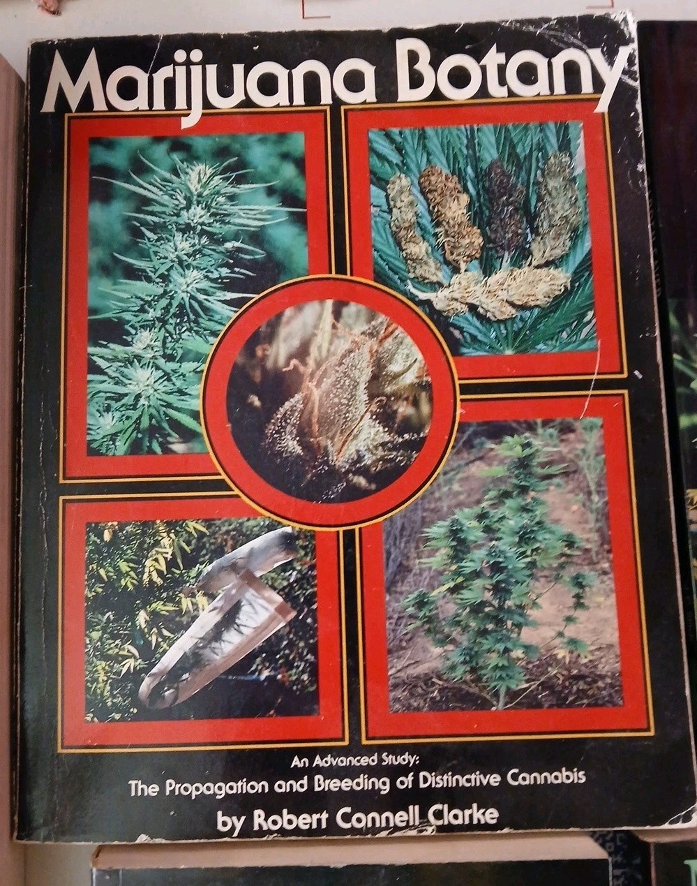 Lot Of 6 Cannabis Cultivation Books Jorge Cervantes Ed Rosenthal Mel Frank +