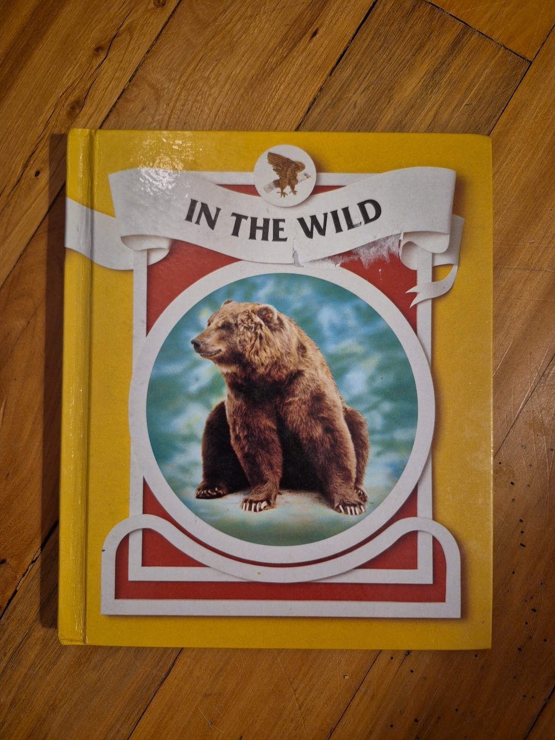 In The Wild Reading Textbook – Reading Express Early Readers – HC