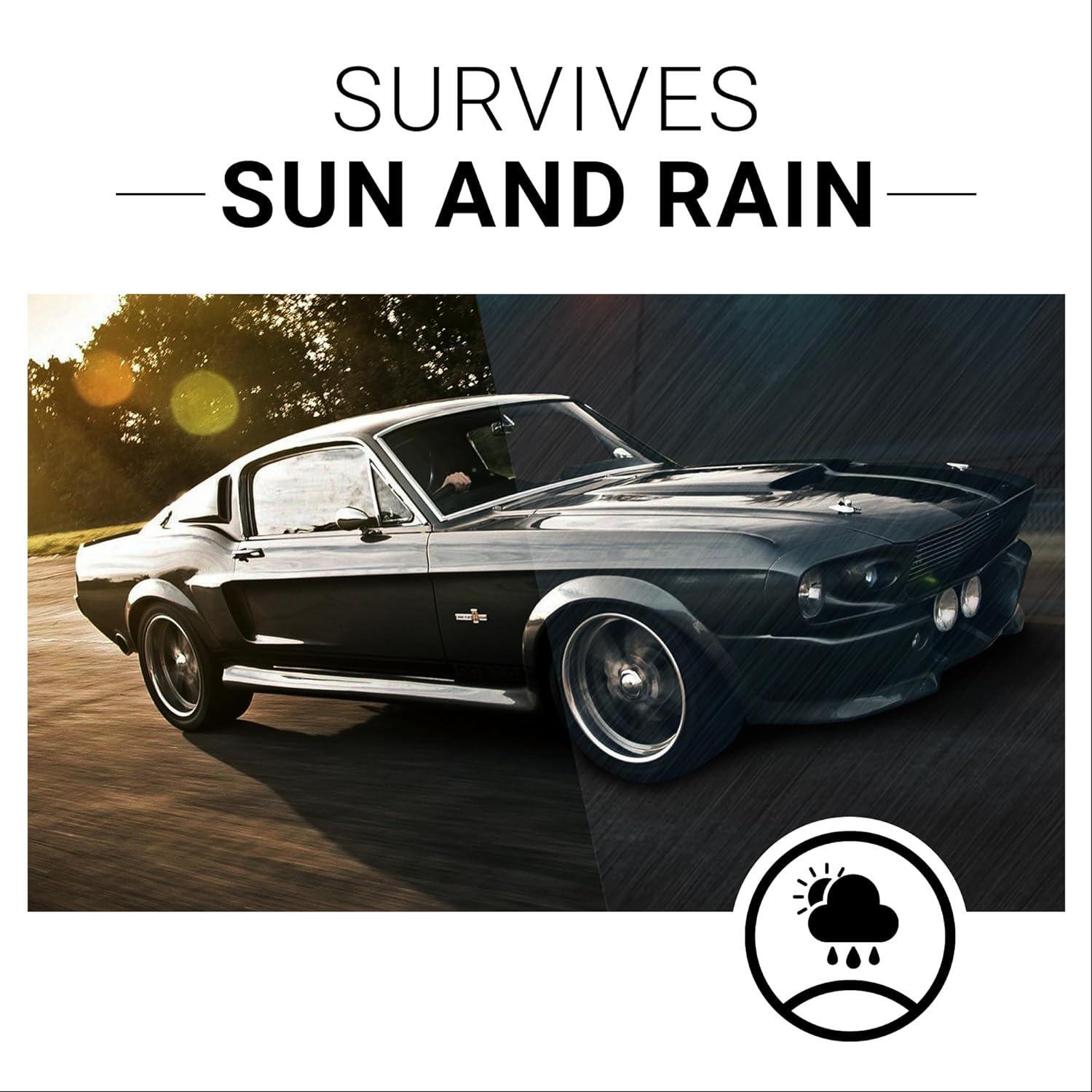CAR GUYS Plastic Restorer | Bring Plastic, Rubber, And Vinyl Back To Life! | | |