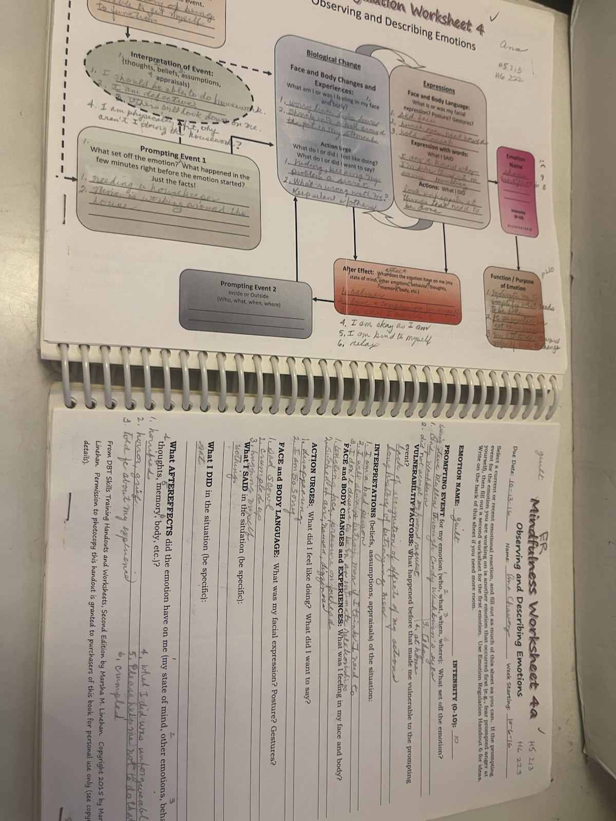 DBT Skills Training Handouts and Worksheets 2014 Spiral Bound Paperback