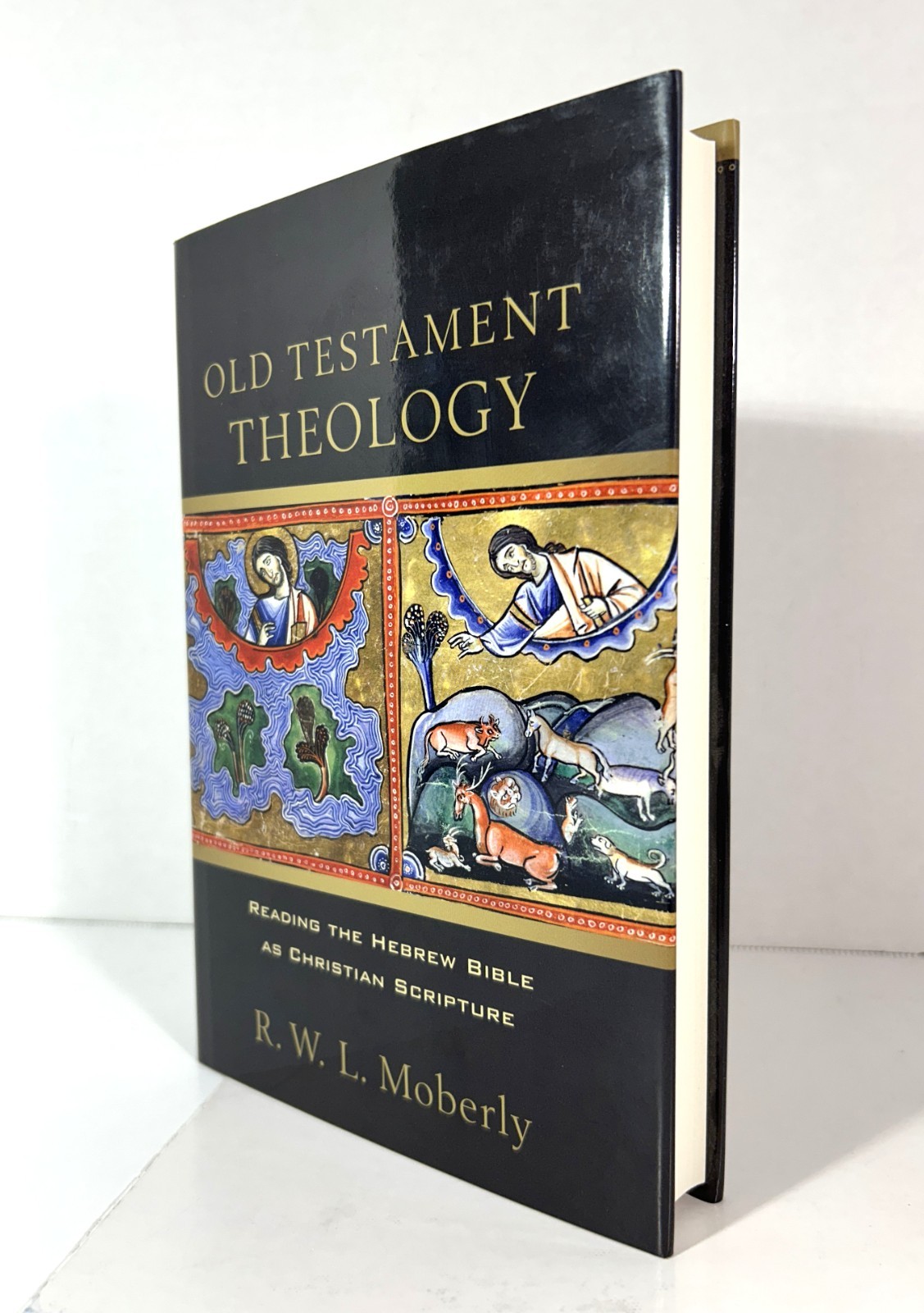 Old Testament Theology: Reading the Hebrew Bible by RWL Moberly 2013 Hardcover