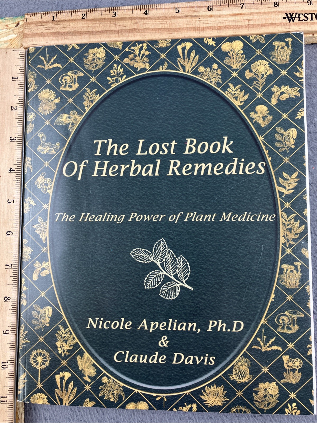 The Lost Book of Herbal Remedies (paperback with color pictures) Hundreds of