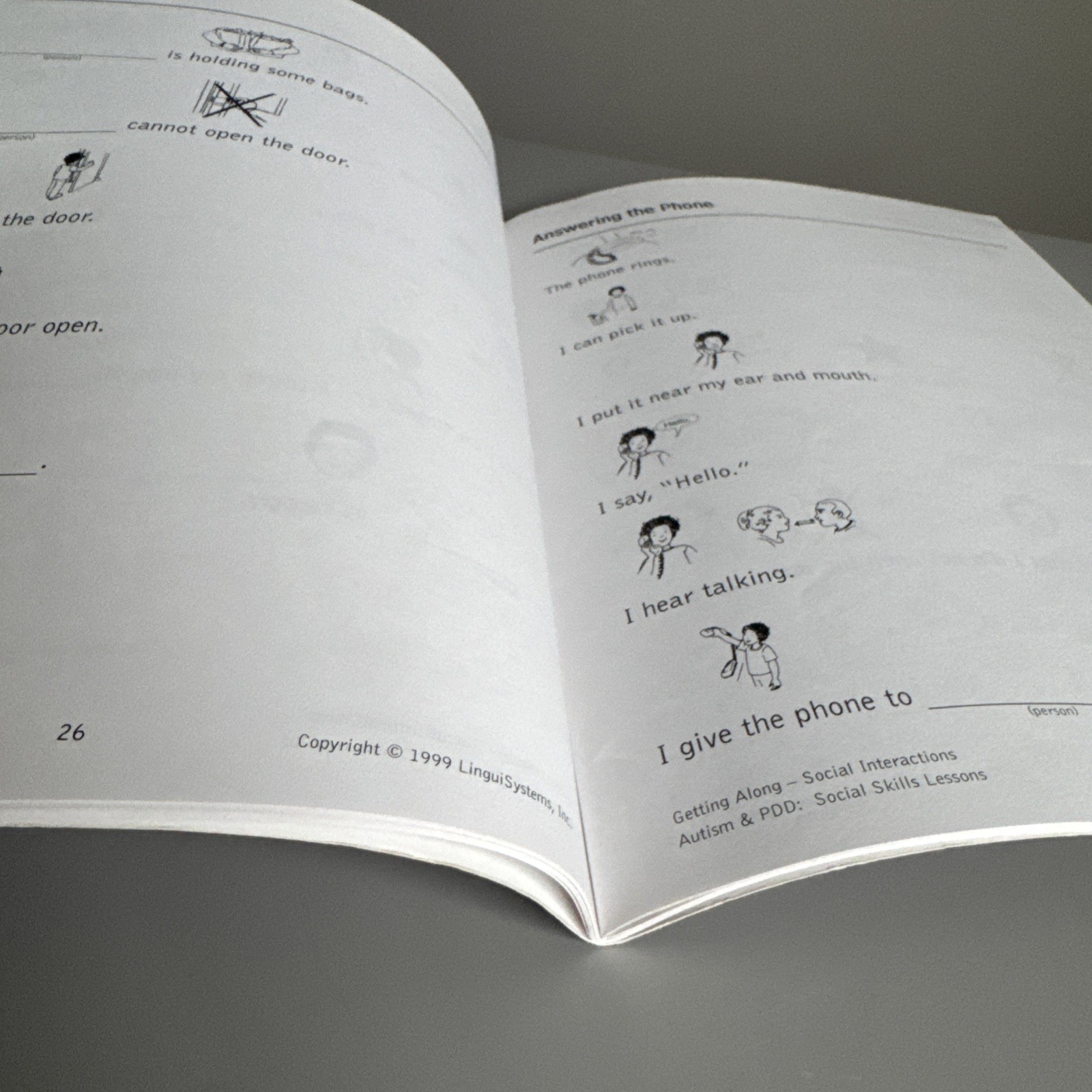 AUTISM & PDD SOCIAL SKILLS LESSONS Getting Along Ages 3-8 Lingui Systems Book