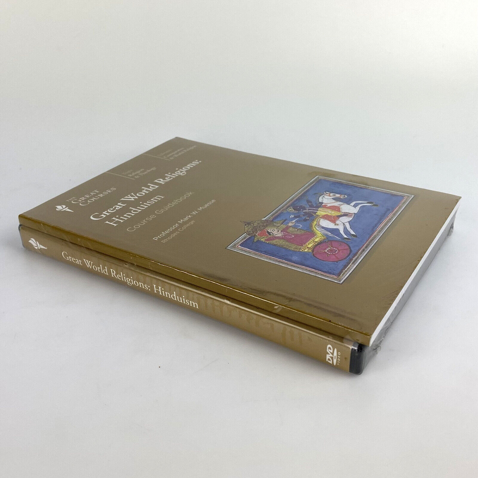 NEW HINDUISM Great World Religions Great Courses DVD Guide Book Teaching Gift