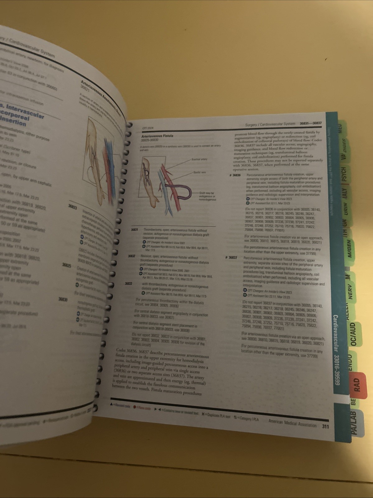 CPT Professional 2024 American Medical Association spiral_bound Good