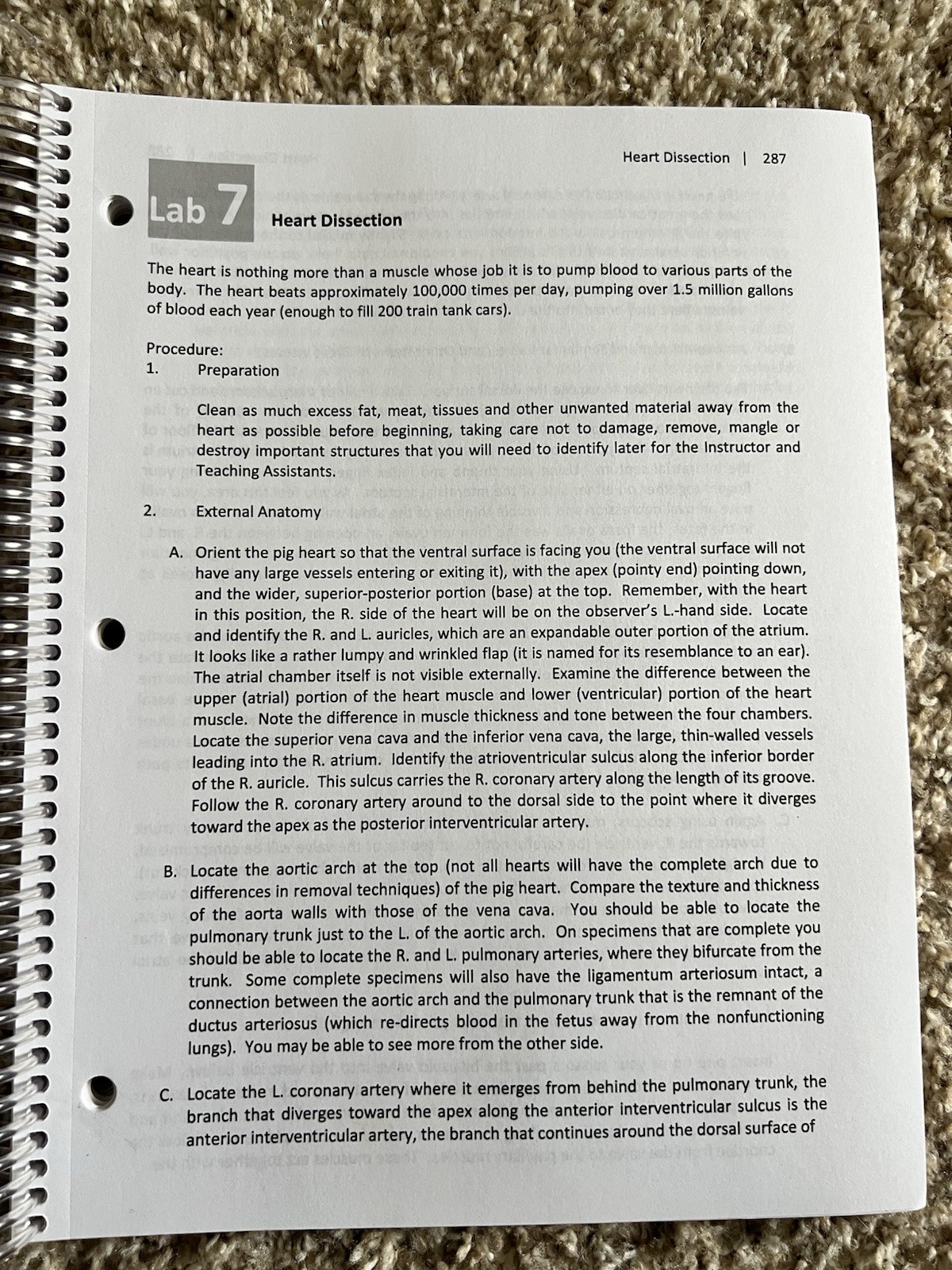 Human Anatomy and Physiology Laboratory Manual for Bio 231,231,323