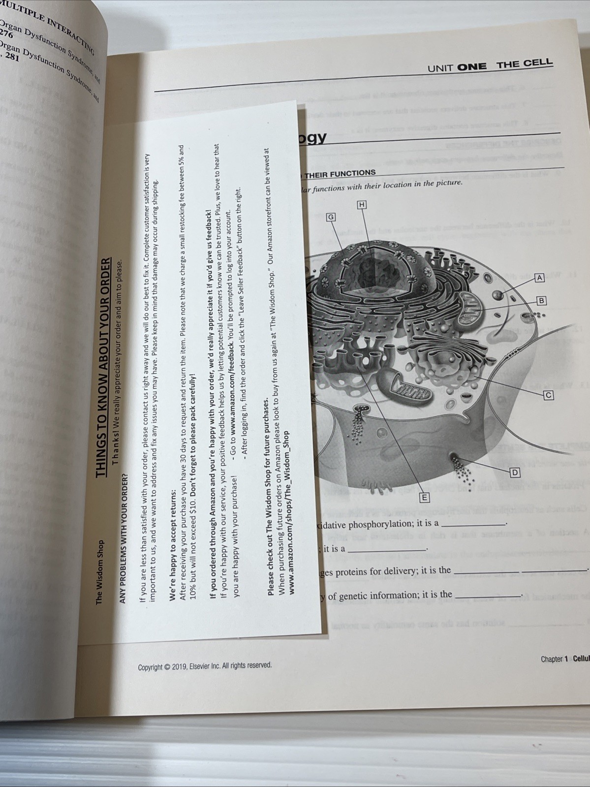 Study Guide for Pathophysiology McCance Huether 8th Ed Nursing PB Disease