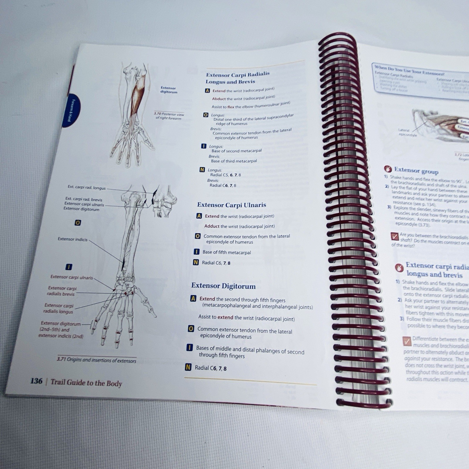 Trail Guide to the Body by Andrew Biel 5th Edition 2014