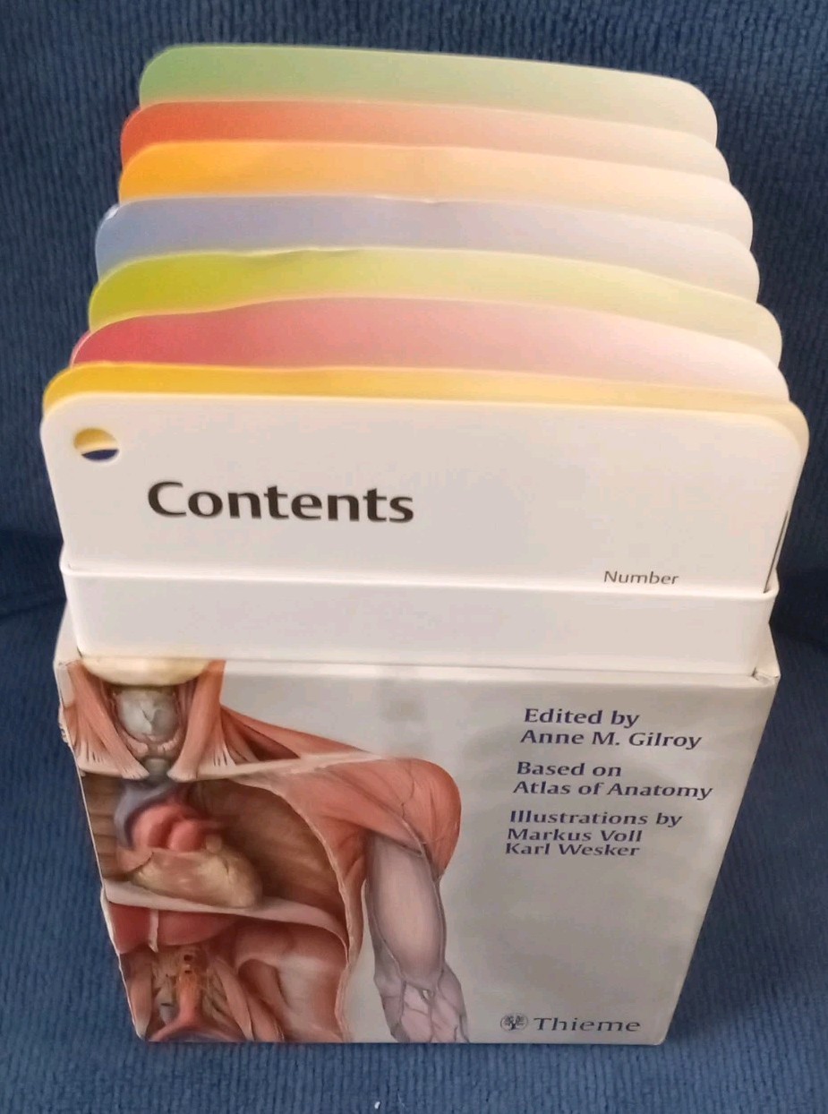 Anatomy Flash Cards by Anne M. Gilroy: Very Good Condition