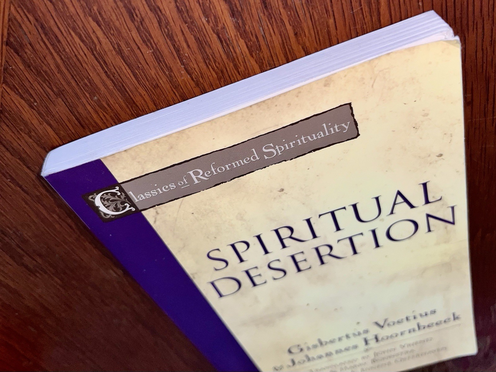 Theology Spiritual Desertion Reformed Classics Voetius Hoornbeeck BAKER Academic