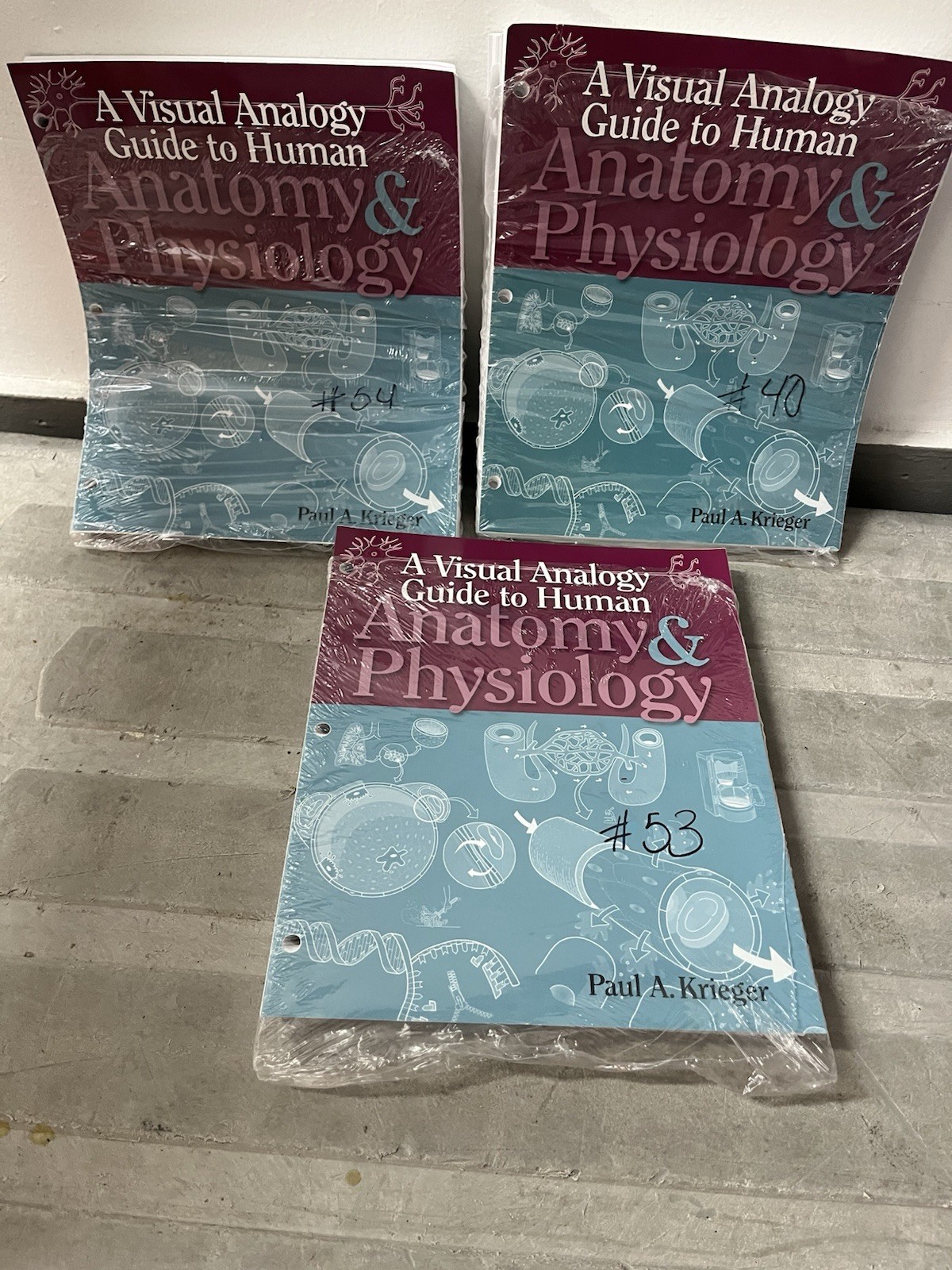 A Visual Analogy Guide to Human Anatomy & Physiology Paperback by Paul Krieger