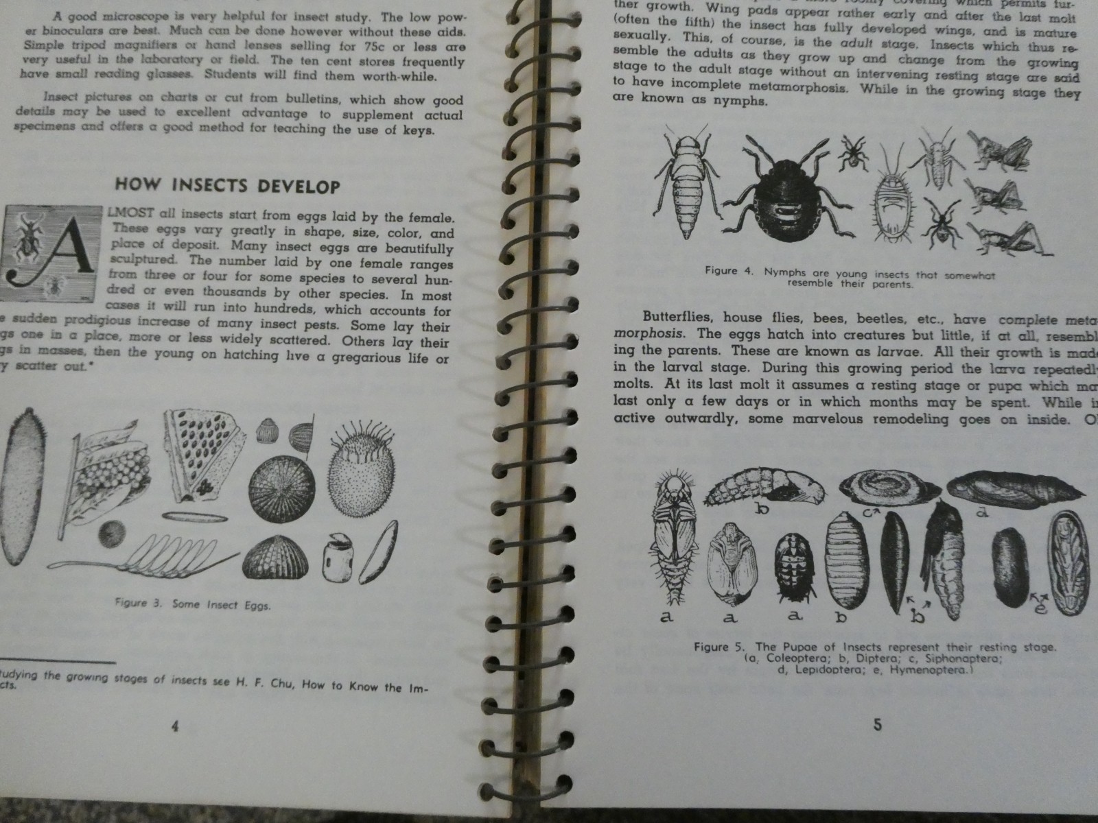 HOW TO KNOW THE INSECTS PUB 1947 SPIRAL BOUND HARD PAPER COVER 205 PAGES