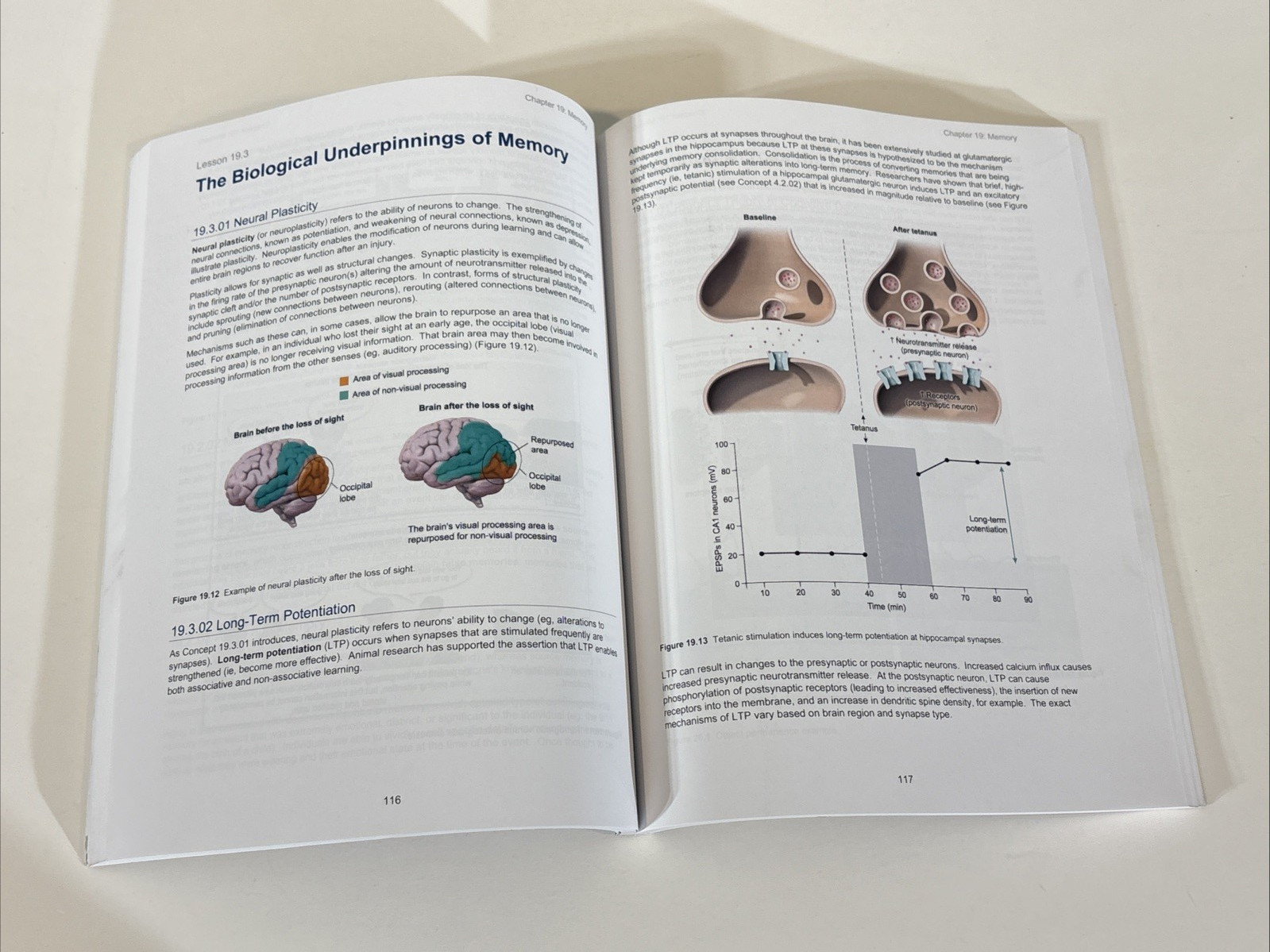 UWorld MCAT Prep Book 2026-2027 Behavioral Sciences 2nd Edition by UWorld