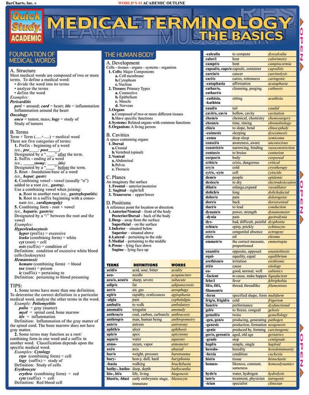 Complete Basic Medical Terminology, Abbreviations and Anatomy Quick References
