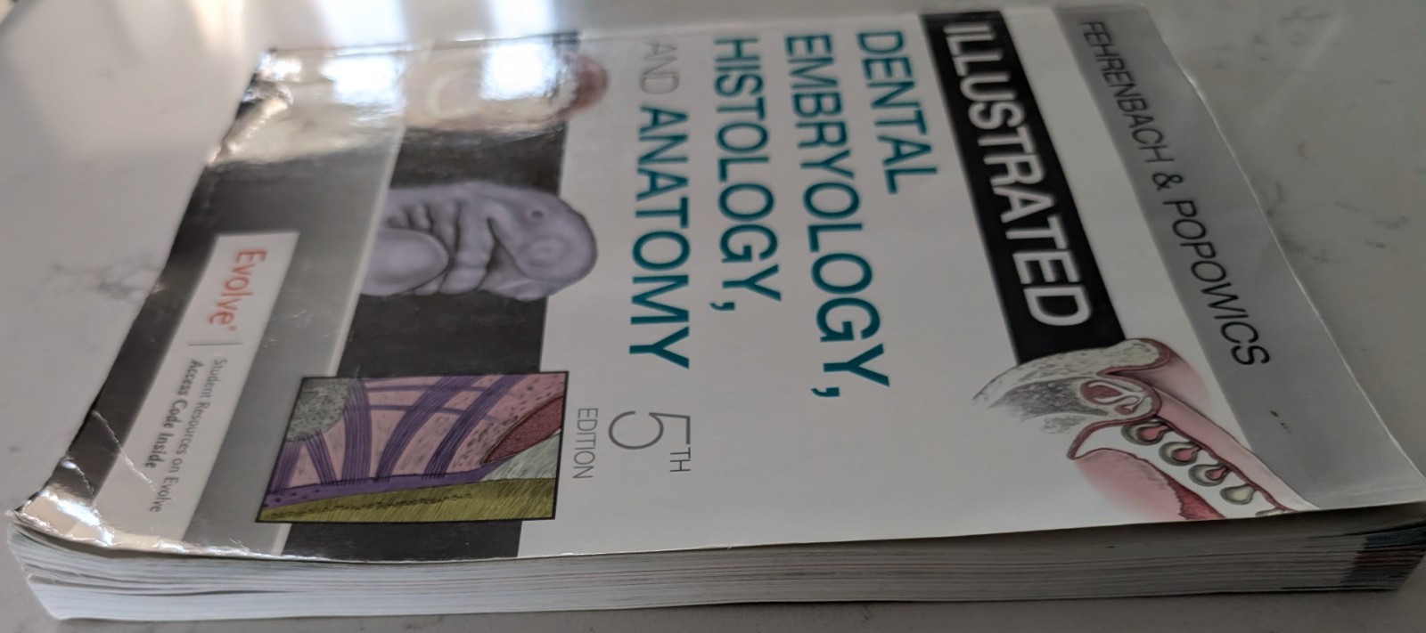 Illustrated Dental Embryology, Histology, and Anatomy by Margaret J. Fehrenbach