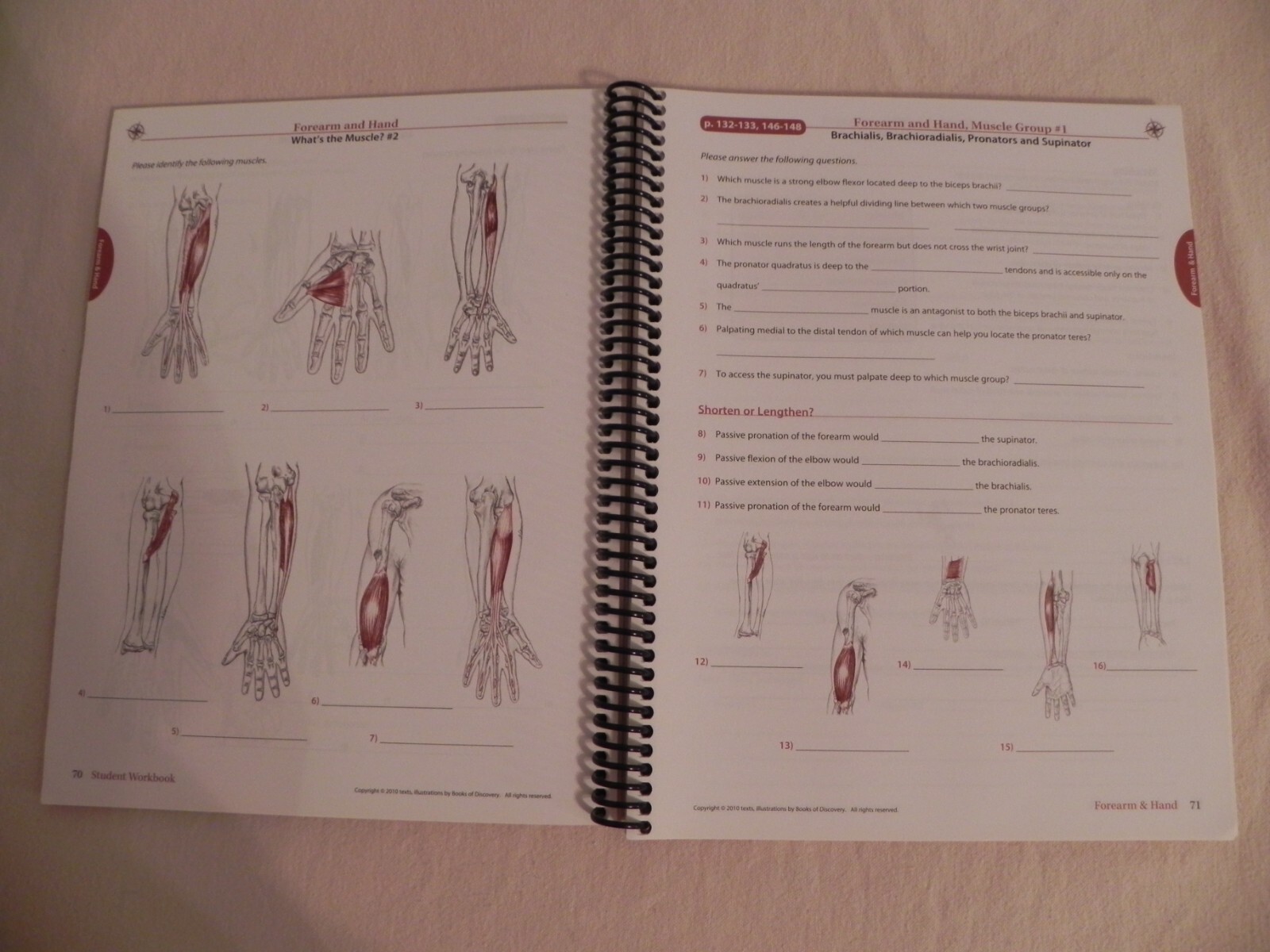 Trail Guide To The Body By Andrew Biel, Student Workbook 4th Edition
