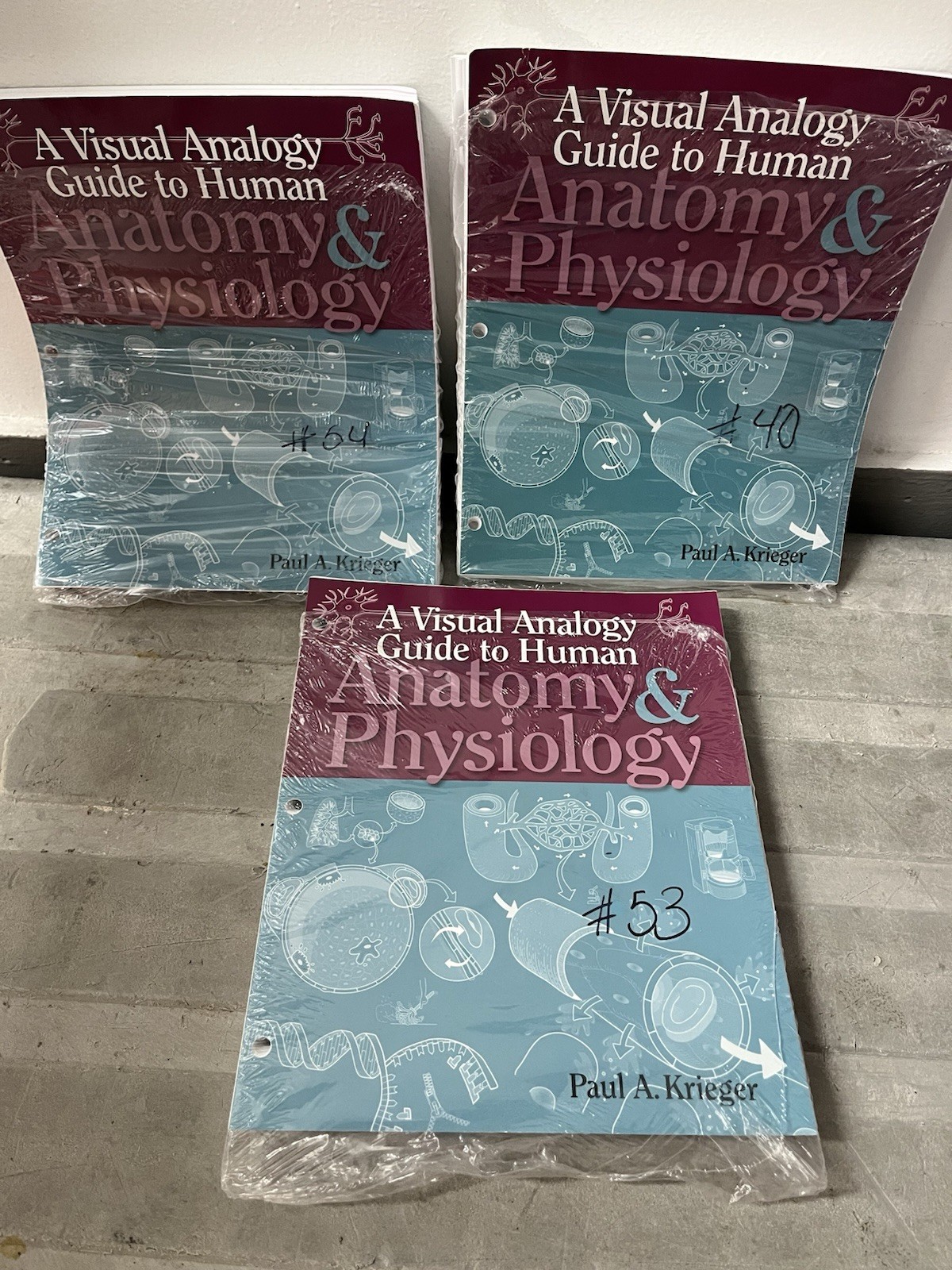 A Visual Analogy Guide to Human Anatomy & Physiology Paperback by Paul Krieger